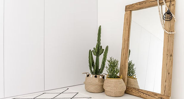 plants and mirror_edited.jpg