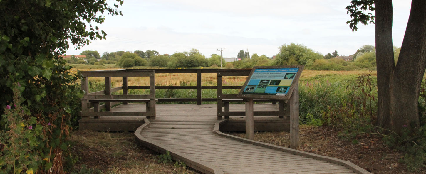 Accessible boardwalk leading to a viewing area at Coed y Morfa nature reserve.