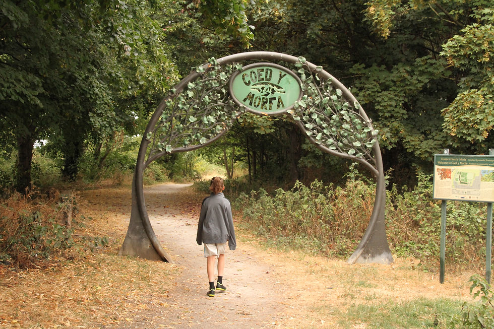 Boy walking through archway at entrance of Coed y Morfa woodland