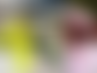 Designing a Memorable Roadshow Experience