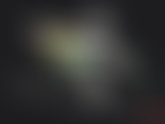 🎿 Vereinsausflug des WSV-Schoppernau – Vierschanzentournee Oberstdorf 🎿