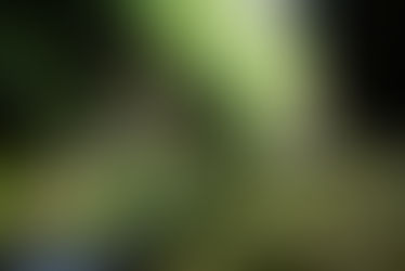 Todo lo que puedes visitar en la Sierra Gorda de Querétaro