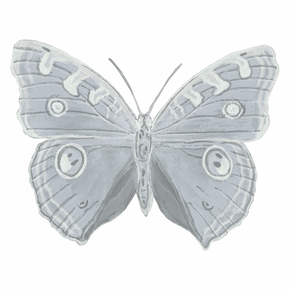 Thumbnail: NEON Butterfly 3