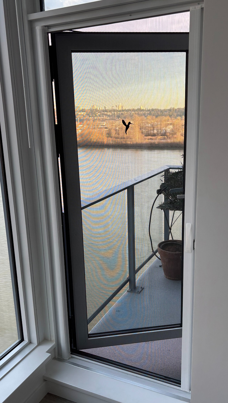 Retractable Screens
