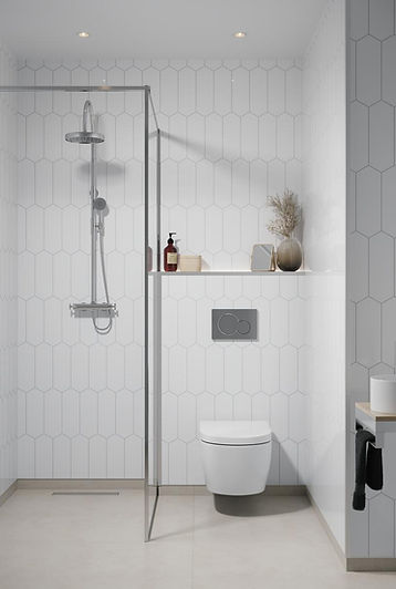 3091_DenverWhite_M79_Bathroom_2_1-1200px (1).jpg