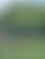 EsPa hakee kesätyöntekijöitä!