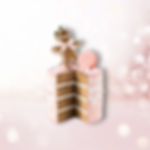 9.5" Pink Gingerbread Cake