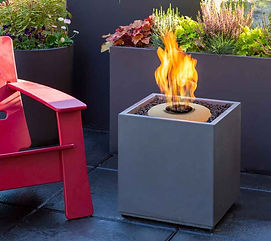 RHS Chelsea Product of the Year finalists 2016