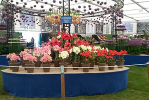 MandyCanUDigIt| Gardening| DigIt Media