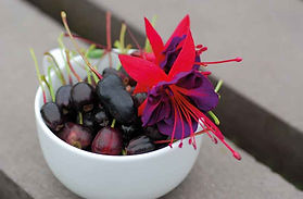 MandyCanUDigIt| Gardening| DigIt Media garden plant T&M Fuchsia Berry