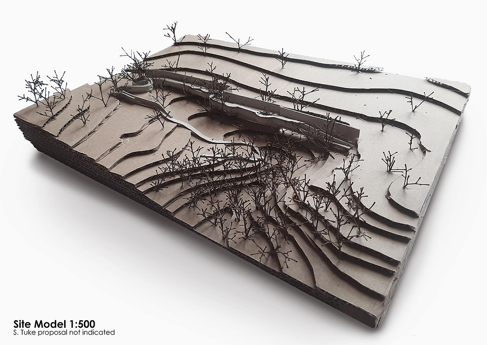 Site Model.jpg