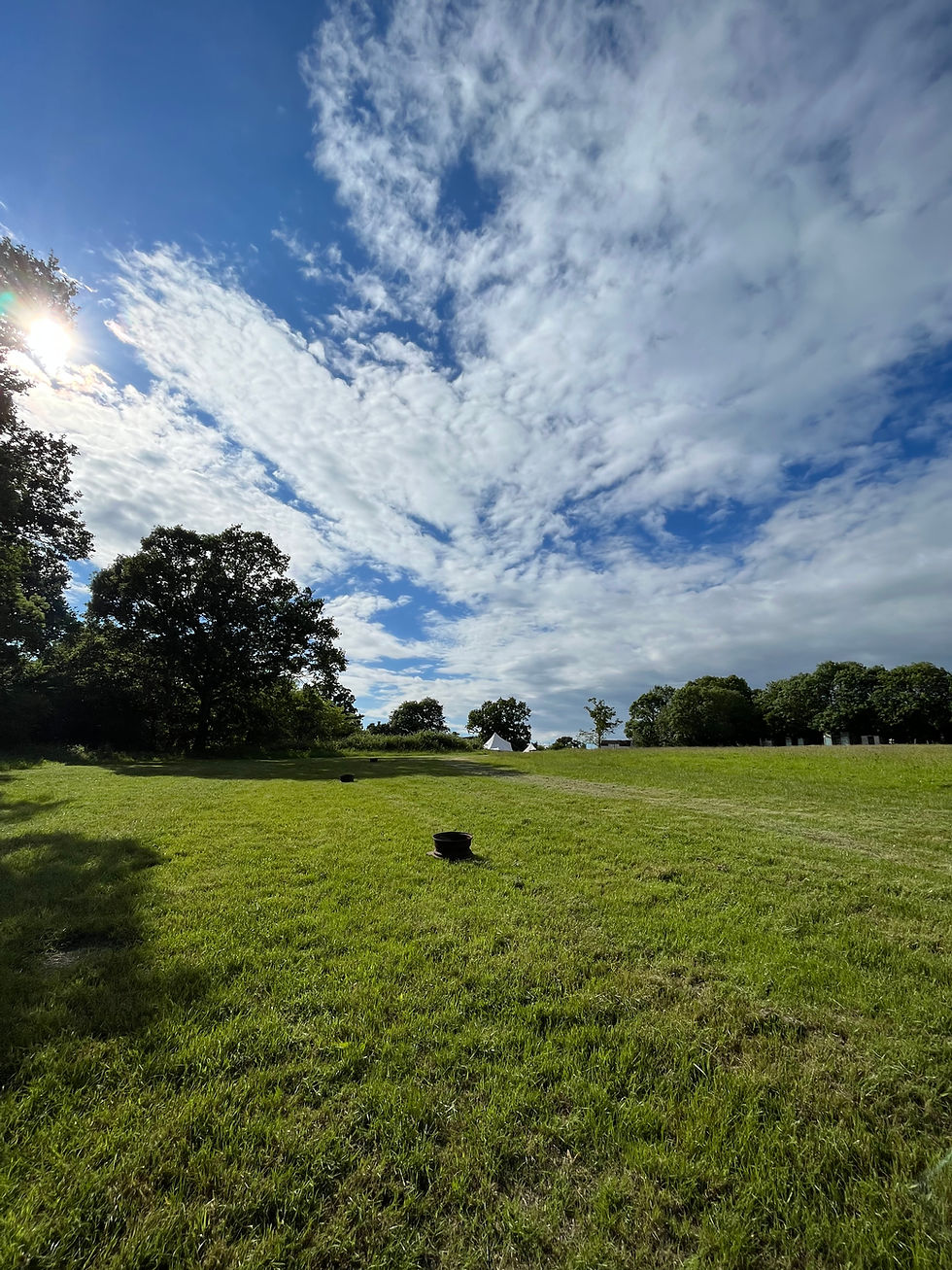 Holly grass pitch for camping