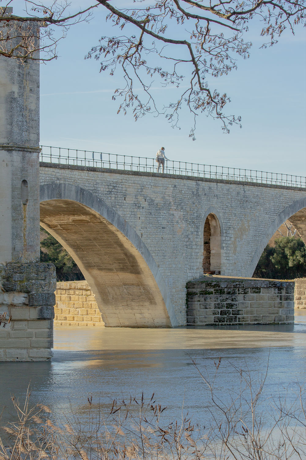 Le Rhône, la pierre, le ciel du Midi. Le Pont d'Avignon; une image que la Provence porte en elle depuis toujours.