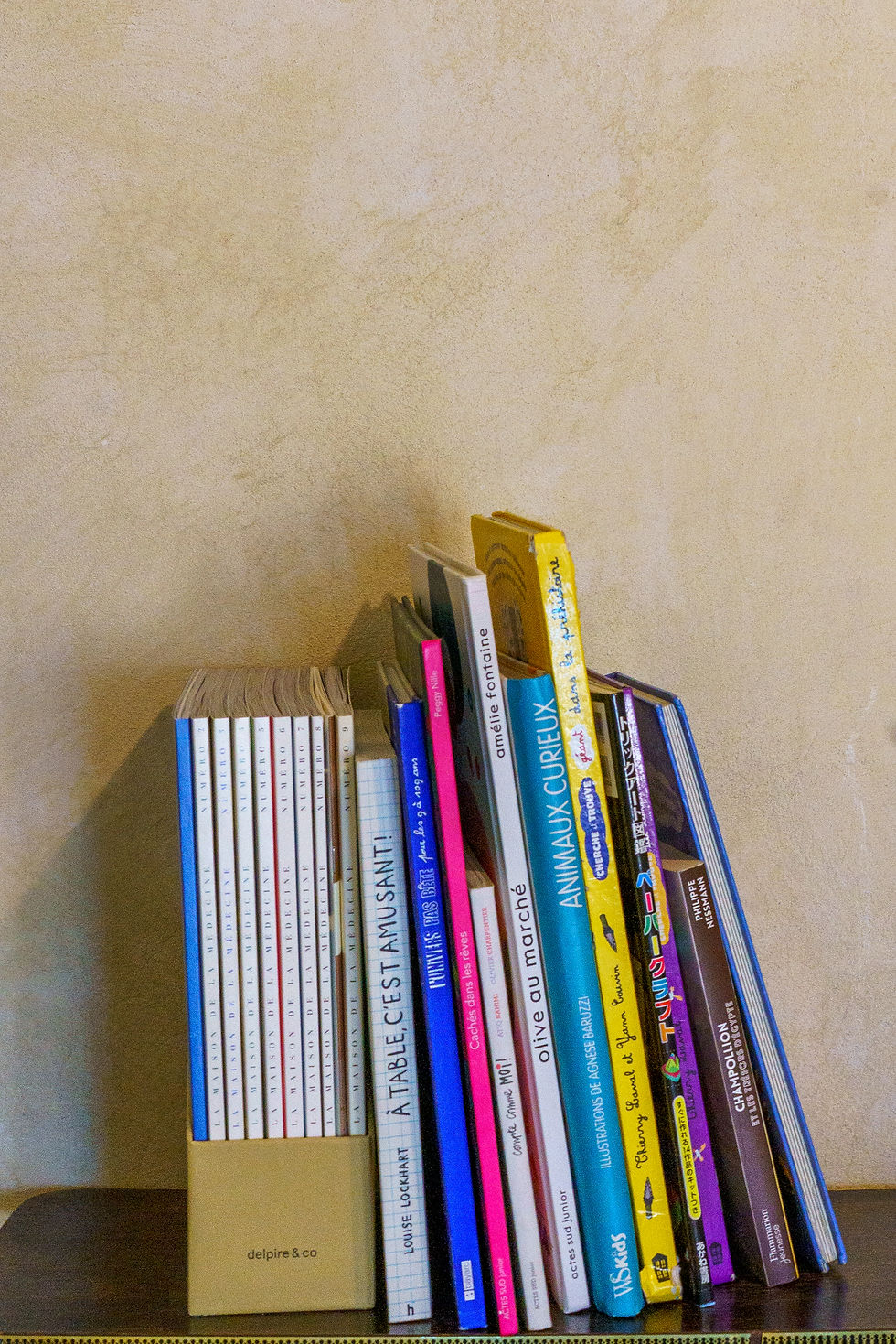 Livres colorés alignés contre un mur beige. Titres visibles incluent "À table, c'est amusant!" et "Animaux curieux". Ambiance calme.