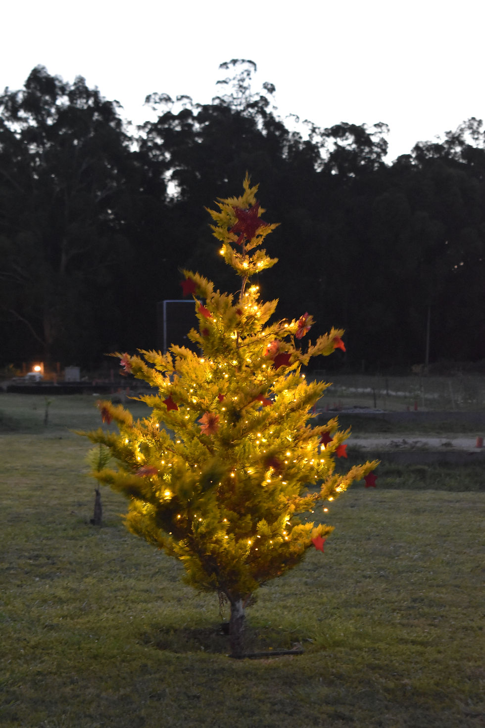 Navidad en Tandil Del Lago