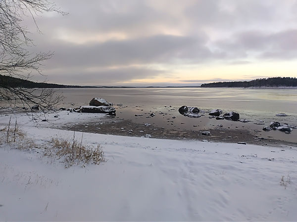 Берег Белого моря на территории ББС МГУ