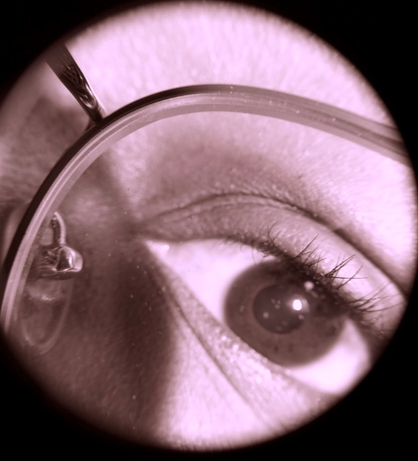 Predictions For the Next 10 to 20 Years