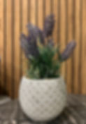 lavender.jpeg