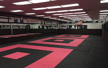 dojo.jpg