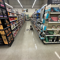 Nala Farm and fleet.heic