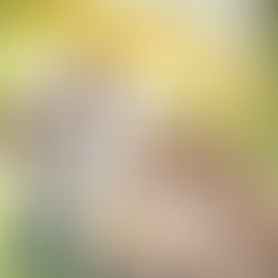 Un elenco como (¿Dios?) manda