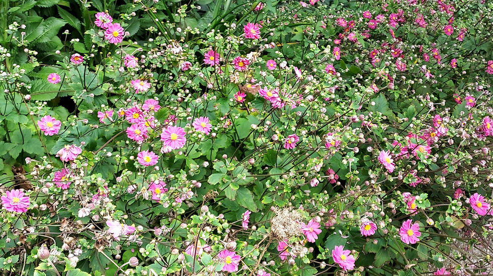 20260912_104121.jpg