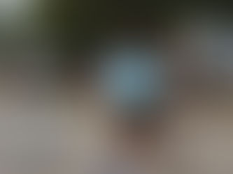 Le Tchoukball séduit de plus en plus de Réunionnais