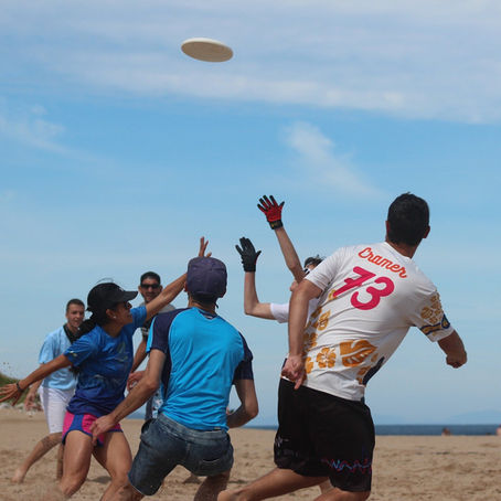 Annuaire : Découvrez les Clubs d'Ultimate à la Réunion