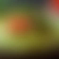 Ultimate Guacamole Recipe: Unveiling the Traditional Flavors and Techniques