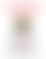 Smokey Bear's Birthday Party - August 11th, 2022