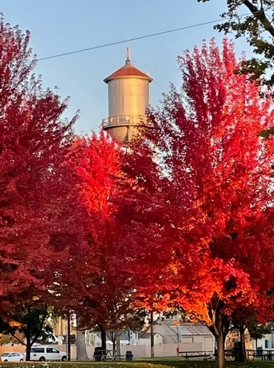 Emmett Water Tower