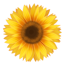 sunflower-295_256.gif