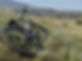 bike_edited.jpg