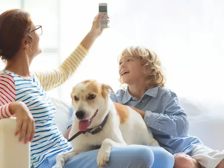 Cómo afecta el aire acondicionado a las mascotas