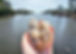 20240418_112736.jpg