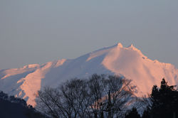 IMG_0782.JPG