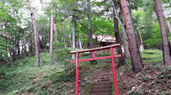 20150620_134515.jpg