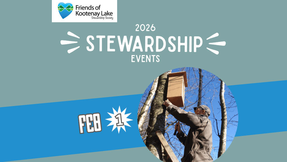 Building homes for ducks