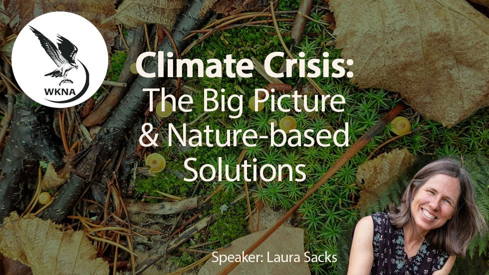Climate Crisis: The Big Picture and Nature-based Solutions