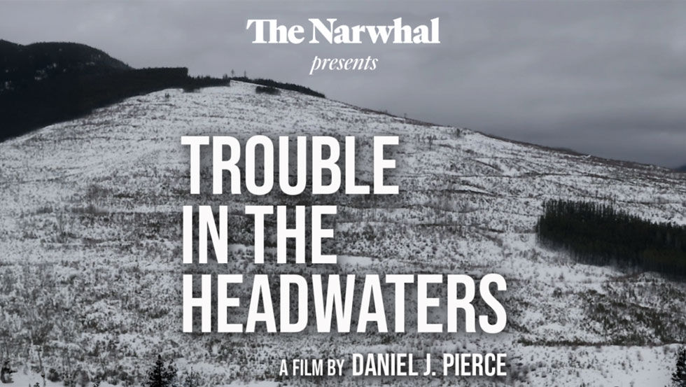 Trouble in the Headwaters