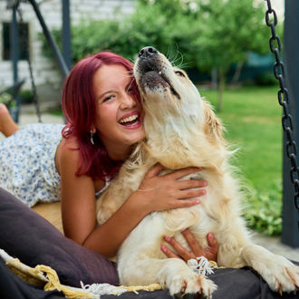 Summer heat brings risks for dogs