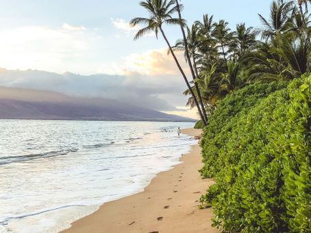 Malama Maui