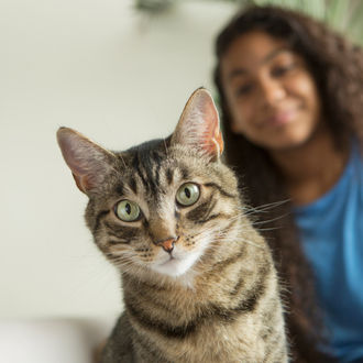 A clean litter box makes for a happier cat