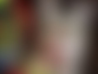 Holiday dangers for pets