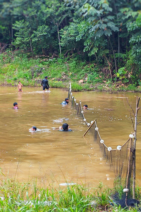 Des autochtones Nokekoi dans un bassin de pisciculture avec un grand filet de pêche qui va d'une rive à l'autre.