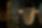 w+b_1216.jpeg