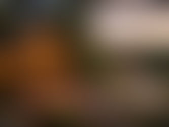 Why Big Hotel Brands Are Betting on Boutique and Small Stays