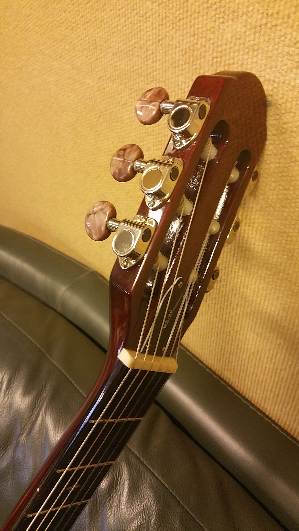 Thumbnail: RICHWOOD RE-24 STAGE GUITAR