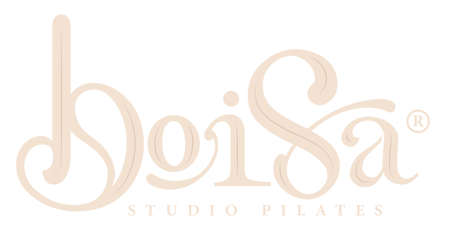 LOGO_BOISA_D.gif