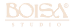 LOGO_BOISA_2027_edited_edited.png